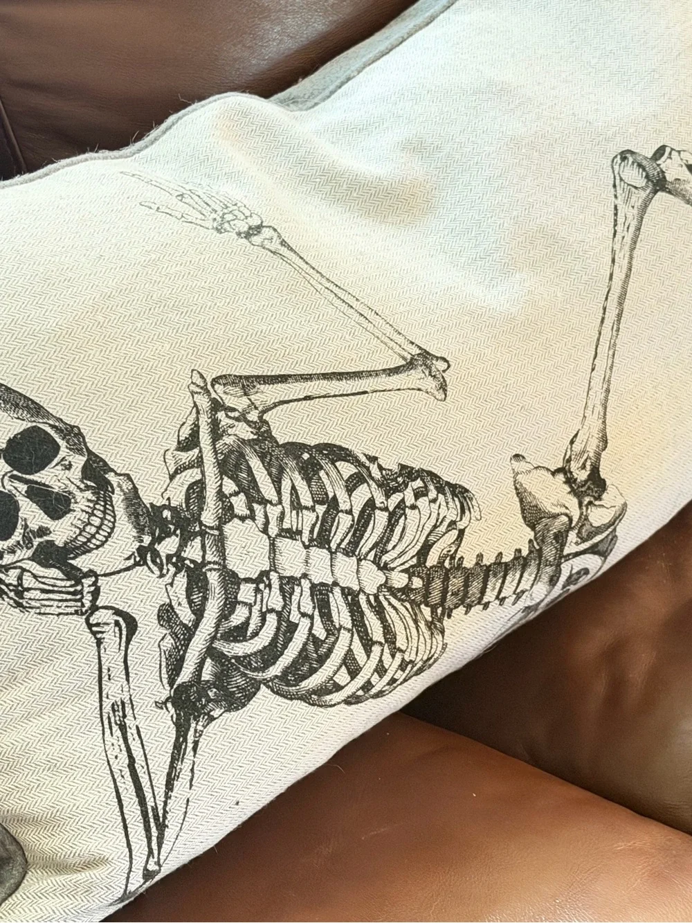 Halloween Skeleton Decorative Throw Pillow - Cream